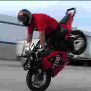 Talentueux bikers te font une démo d'enfer!