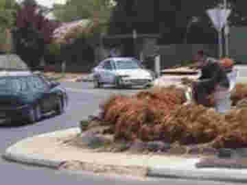 Homme en costard fait ses besoins sur rond point