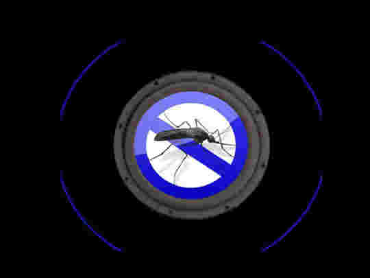 Anti-moustique!