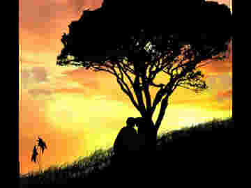 Vidéo relaxation 2 : Un coucher de soleil splendide