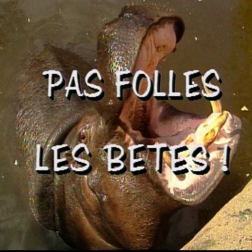 Générique des animaux sauvages