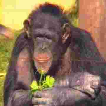 Conversation animée sur le muguet du 1er Mai