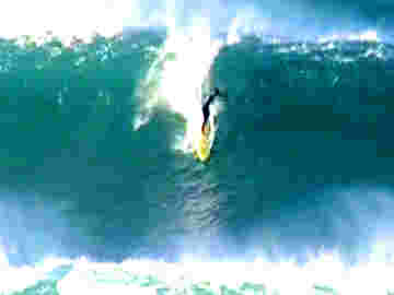 Des surfeurs sur la vague