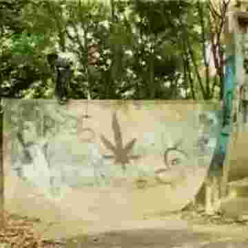 Anthony Marocco : Le skate c'est toute sa life!