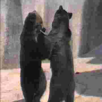 La Boum version "animaux "… des calins et des embrouilles