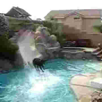 Doberman s'éclate sur un toboggan de piscine