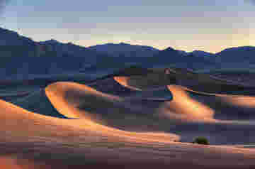 Dunes sinueuses : Death Valley