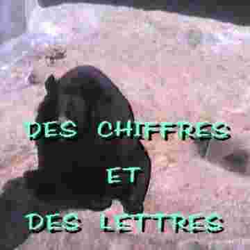 Emission Des chiffres et des Lettres présentée par l'ours