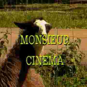 Monsieur Chameau vous présente le jeu "Monsieur Cinéma".