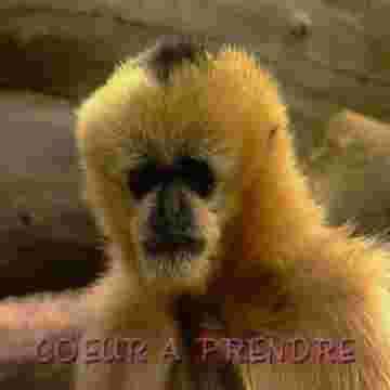 Jean-Michel coeur à prendre cherche son âme soeur!