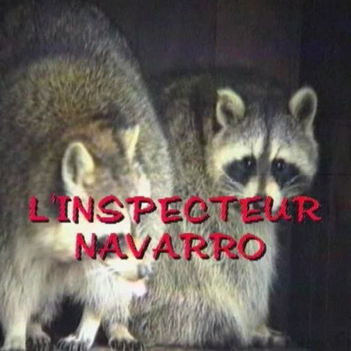 Inspecteur Navarro mène son enquête d'une main de maitre