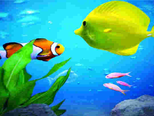 Aqua 3D : Un aquarium rempli de poissons colorés