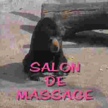 Un salon de massage très spécial pour les animaux
