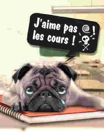 Chien attristé J'aime pas les cours!!
