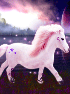 Poney blanc