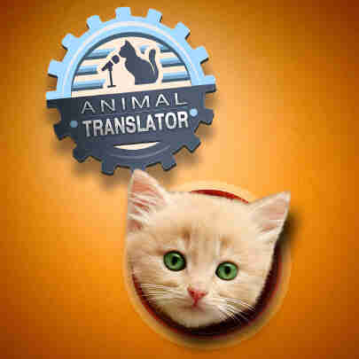 Animal Translator : Traducteur pour communiquer avec ton chat