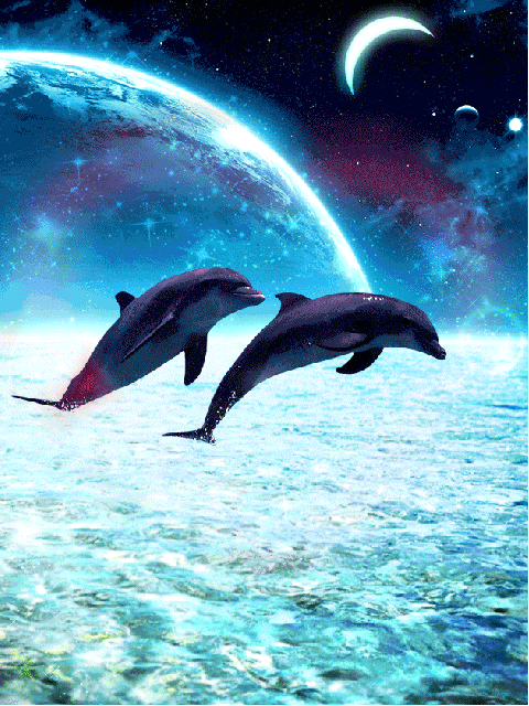 Dauphins Coeur