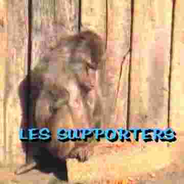 Les supporteurs font des pronostiques pour le match de foot!