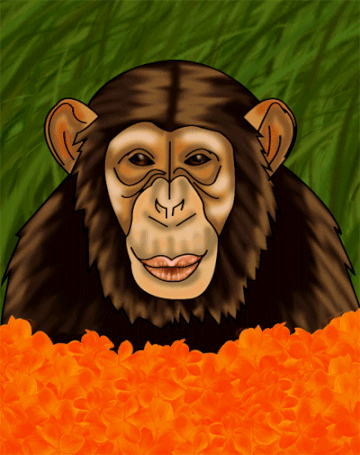 Singe te fait un bisou sucré