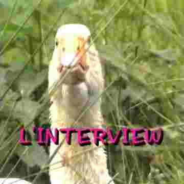 L'interview sur les émissions de télévision