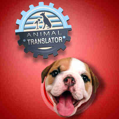 Animal Translator : Traducteur pour communiquer avec ton chien