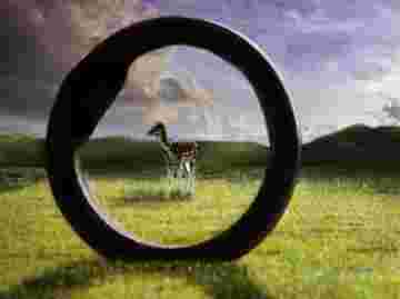 Vidéo relaxation 7 : Les beautés de la nature sur une musique relaxante