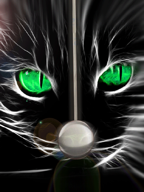 Chat pendule