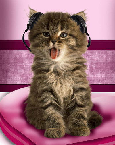 Chat Hip Hop tire la langue