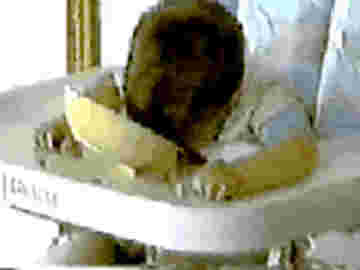 Repas bébé dormeur