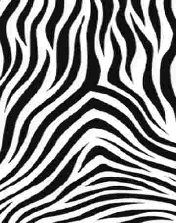 Imprimés zèbre