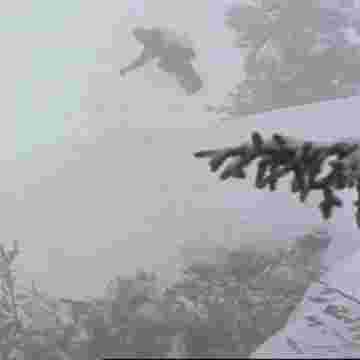 Elias Elhardt snowboarder pro au style indéniable