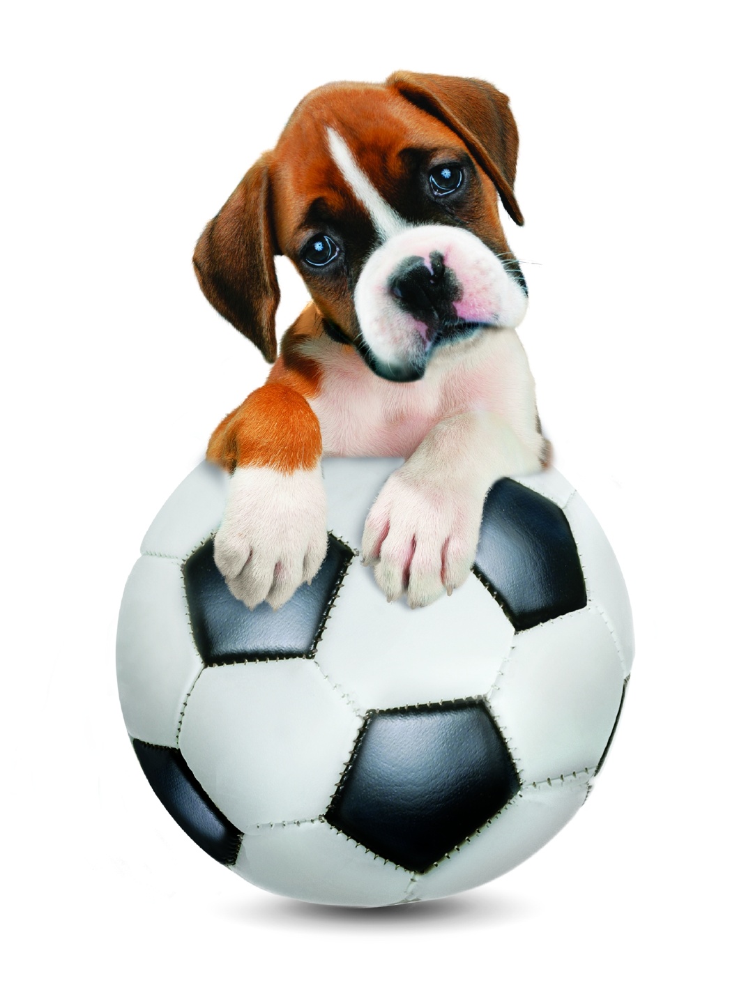 Boxer sur son ballon de foot