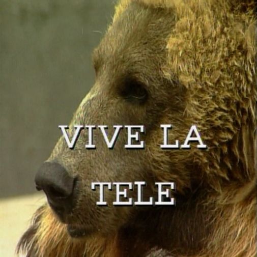 L'ours ivre ramène une télé en pierre à la maison