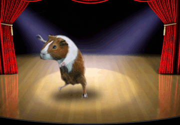 Hamster tout mignon danse sur ton phone!