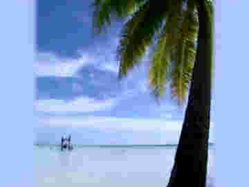 Tahiti terre de milles beautés