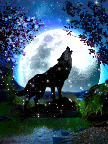 Loup hurle à la lune
