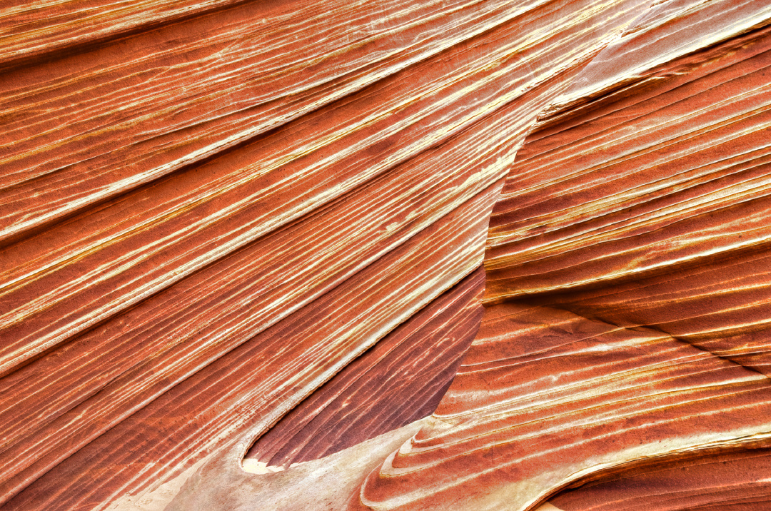 La vague d'Arizona