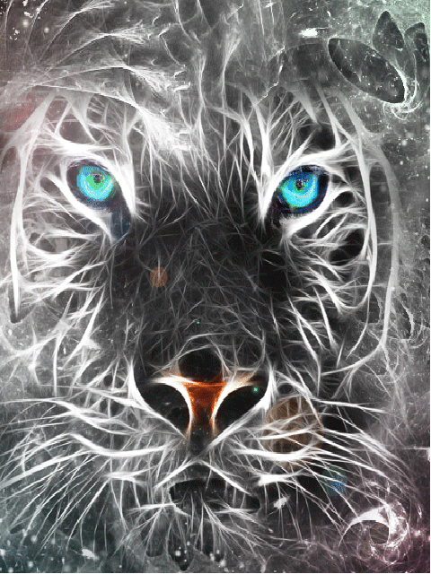 Tigre cosmos