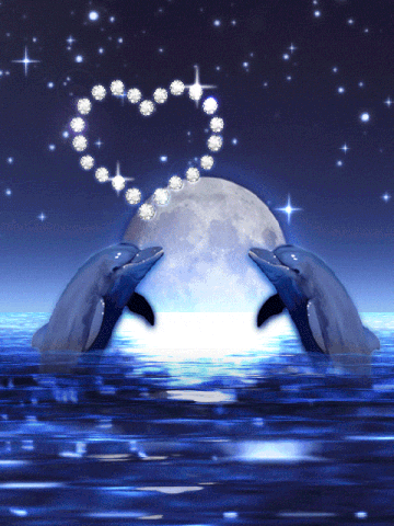 Dauphins Coeur Fantasy