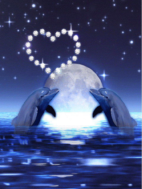 Dauphins Coeur Fantasy