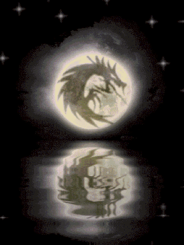 Dragon Lune Reflet
